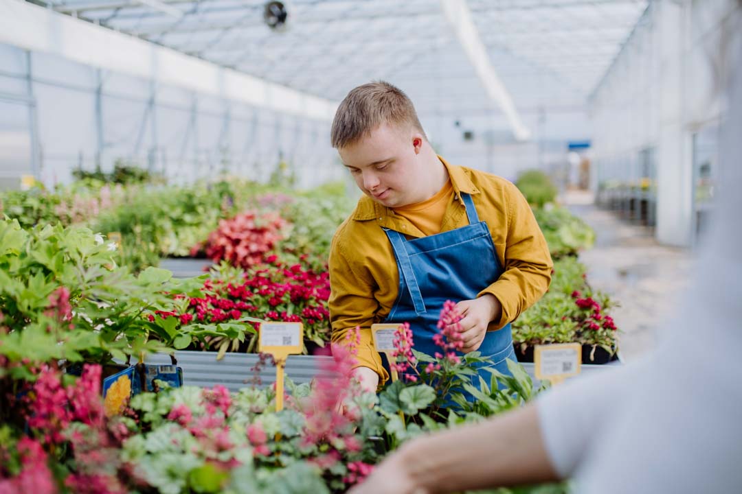 young man with down syndrome working in greenhouse