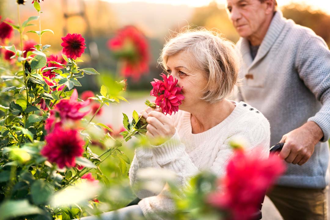 senior couple on a walk with woman in a wheelchair smelling flowers